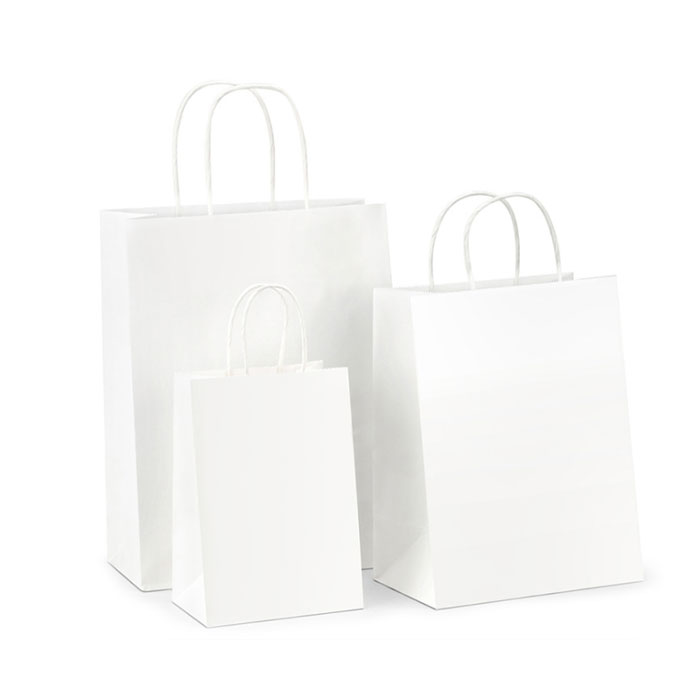 Paper Handle Bags Bulk